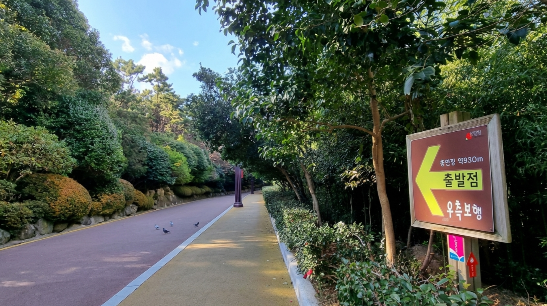 해운대동백섬 순환 산책로 - 평탄한 보행로와 나무 우거진 산책길 전경