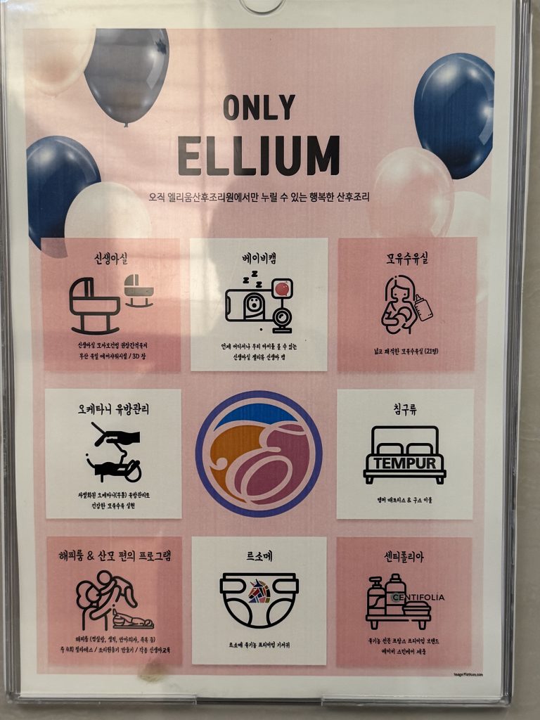 엘리움 산후조리원 ONLY ELLIUM 9대 특장점 포스터. 신생아실 에어샤워/3D창, 베이비캠(젤리뷰), 모유수유실 21명 규모, 오케타니 무통 유방관리, 해피룸, TEMPUR 매트리스 구스이불, 르소메 유기농 기저귀, 센티폴리아 프랑스 프리미엄 스킨케어